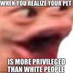 lol | WHEN YOU REALIZE YOUR PET; IS MORE PRIVILEGED THAN WHITE PEOPLE | image tagged in ultimate pog | made w/ Imgflip meme maker