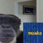 Swim | image tagged in monke swim | made w/ Imgflip meme maker