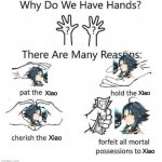 Forfeit all possessions to Xiao | Xiao; Xiao; Xiao; Xiao | image tagged in why do we have hands,genshin impact,simp | made w/ Imgflip meme maker