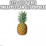 lets see | LETS SEE IF THIS PINEAPPLE CAN GET POPULAR | image tagged in funny,he lives in a pineapple under the sea,memes,cats,all lives matter | made w/ Imgflip meme maker