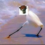 Razzle Dazzle Bird | image tagged in razzle dazzle bird,fursuit | made w/ Imgflip meme maker