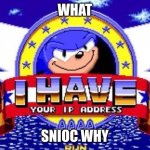leak snoic 1 | WHAT; SNIOC WHY | image tagged in sonic has your ip address | made w/ Imgflip meme maker
