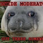 Crying Seal | SITEWIDE MODERATORS; ARE OUT THERE SOMEWHERE | image tagged in crying seal | made w/ Imgflip meme maker