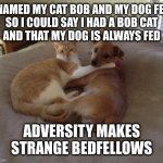 Yeah I'm a dick, but look how close they are as a result | I NAMED MY CAT BOB AND MY DOG FED,
SO I COULD SAY I HAD A BOB CAT
AND THAT MY DOG IS ALWAYS FED; ADVERSITY MAKES STRANGE BEDFELLOWS | image tagged in cats and dogs living together | made w/ Imgflip meme maker