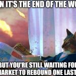 Waiting for gains | WHEN IT'S THE END OF THE WORLD; BUT YOU'RE STILL WAITING FOR THE MARKET TO REBOUND ONE LAST TIME | image tagged in end of world cat,cryptocurrency,stock market | made w/ Imgflip meme maker