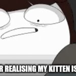 I thought it was a girl | ME AFTER REALISING MY KITTEN IS A BOY | image tagged in gifs,cats | made w/ Imgflip video-to-gif maker