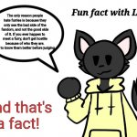 Fun Fact with Loki | The only reason people hate furries is because they only see the bad side of the fandom, and not the good side of it. If you ever happen to meet a furry, don't get hostile because of who they are. Get to know them better before judging. And that's a fact! | image tagged in fun fact with loki | made w/ Imgflip meme maker