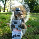 SQUIRREL | HAPPY SUNDAY FRIENDS | image tagged in squirrel | made w/ Imgflip meme maker