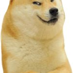 Doge evil smirk meme
