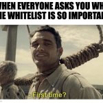 NFTs whitelist First Time | WHEN EVERYONE ASKS YOU WHY THE WHITELIST IS SO IMPORTANT | image tagged in first time | made w/ Imgflip meme maker