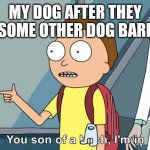 Morty I'm in | MY DOG AFTER THEY SEE SOME OTHER DOG BARKING | image tagged in morty i'm in | made w/ Imgflip meme maker