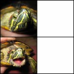 Red-Eared Slider mood change template