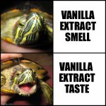 Raphael Vanilla Extract | VANILLA 
EXTRACT 
SMELL; VANILLA 
EXTRACT
TASTE | image tagged in red-eared slider mood change | made w/ Imgflip meme maker