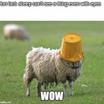 stupid sheep | fun fact: sheep can't see a thing even with eyes; WOW | image tagged in stupid sheep | made w/ Imgflip meme maker