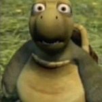 Turtle from over the hedge meme