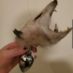 Possum butt plug