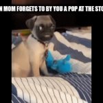 when mom forgets to by you a pop at the store | WHEN MOM FORGETS TO BY YOU A POP AT THE STORE | image tagged in gifs,pug,relatable | made w/ Imgflip video-to-gif maker