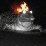 Flame Gator