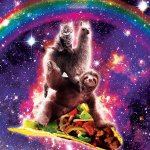 Space cat llama sloth riding a taco