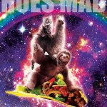Space sloth taco hoes mad