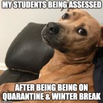 teacher assessments | MY STUDENTS BEING ASSESSED; AFTER BEING BEING ON QUARANTINE & WINTER BREAK | image tagged in expressive dog | made w/ Imgflip meme maker