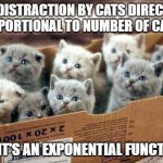 Intro to cat calculus | IS DISTRACTION BY CATS DIRECTLY PROPORTIONAL TO NUMBER OF CATS? NO. IT'S AN EXPONENTIAL FUNCTION. | image tagged in box of cats | made w/ Imgflip meme maker