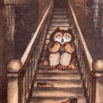 owl steps