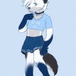 Femboy furry