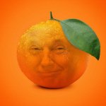 Orange Orange