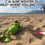 Winter Wonderland | I'M SURE WINTER IS GREAT WHERE YOU ARE, TOO! Ron Jensen on FB | image tagged in kermit on beach,beach,day at the beach,winter,winter is here | made w/ Imgflip meme maker