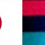 Japanese pan African flag | image tagged in japanese pan african flag,black privilege meme | made w/ Imgflip meme maker