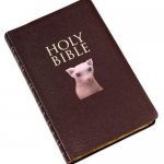 Holy Bible | image tagged in holy bible | made w/ Imgflip meme maker