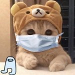 cat with mask | image tagged in cute cat | made w/ Imgflip meme maker