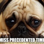 MISS YOU | I MISS PRECEDENTED TIMES | image tagged in miss you | made w/ Imgflip meme maker