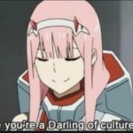 Ah, I see you're a Darling of culture as well