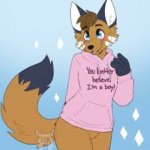 Femboy furry