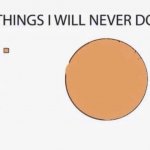 things i will never do