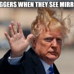 Bye Bye Trump | VLOGGERS WHEN THEY SEE MIRRORS | image tagged in bye bye trump | made w/ Imgflip meme maker