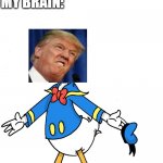 -_- | TEACHER: WHY ARE YOU LAUGHING? ME: NOTHING; MY BRAIN:; DONALD TRUMP THE DUCK | image tagged in donald duck shrugs | made w/ Imgflip meme maker