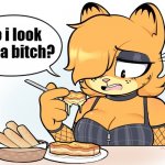 Goth Garfield | do i look like a bitch? | image tagged in goth garfield | made w/ Imgflip meme maker