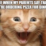 Pizza | ME WHEN MY PARENTS SAY THAT WE'RE ORDERING PIZZA FOR DINNER . | image tagged in memes,excited cat | made w/ Imgflip meme maker