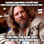 Confused Lebowski | CANNABIS COMPOUNDS STOPPED COVID VIRUS FROM INFECTING HUMAN CELLS IN LAB STUDY; YEAH? WELL, YOU KNOW, THAT'S JUST LIKE UH, YOUR OPINION, MAN. | image tagged in memes,confused lebowski | made w/ Imgflip meme maker