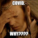 Lord Elrond | COVID. WHY???? | image tagged in lord elrond | made w/ Imgflip meme maker