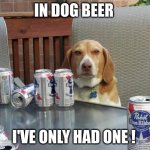 dog beer | IN DOG BEER; I'VE ONLY HAD ONE ! | image tagged in dog beer | made w/ Imgflip meme maker