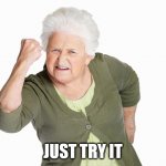 Just Try It | JUST TRY IT | image tagged in angry old lady | made w/ Imgflip meme maker