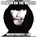 An intruder | I RESPECT YOUR OPINION ON THE MATTER; UNFORTUNATELY, I AM CURRENTLY INSIDE YOUR HOME | image tagged in an intruder | made w/ Imgflip meme maker