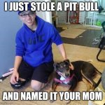 Byron Norwood | I JUST STOLE A PIT BULL; AND NAMED IT YOUR MOM | image tagged in dog thief,dogs,pitbull,stealing,funny | made w/ Imgflip meme maker