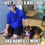 Byron Norwood | I JUST STOLE A BULL DOG; AND NAMED IT MONT | image tagged in dog thief,funny memes,monty python,fun | made w/ Imgflip meme maker