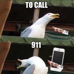 inhaling seagull 4 red | I NEED; TO CALL; 911; NOW!!!!! | image tagged in inhaling seagull 4 red | made w/ Imgflip meme maker