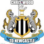 Transfer | CHRIS WOOD; TO NEWCASTLE | image tagged in newcastle,january transfer window,premier league | made w/ Imgflip meme maker